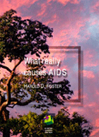 What Really Causes AIDS? by Dr Harold Foster